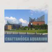 Chattanooga Aquarium Briefkaart (Voorkant)