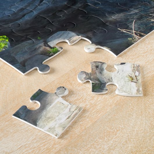 Chattanooga Lookout Mountain. Legpuzzel (Zijkant)