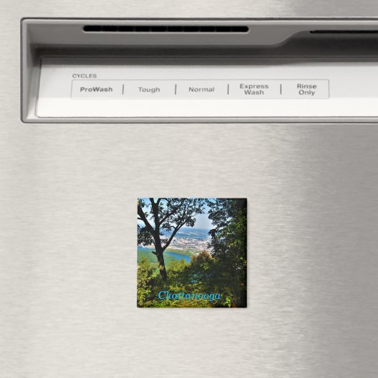 Chattanooga magnet 2 (Insitu (Vaatwasser))