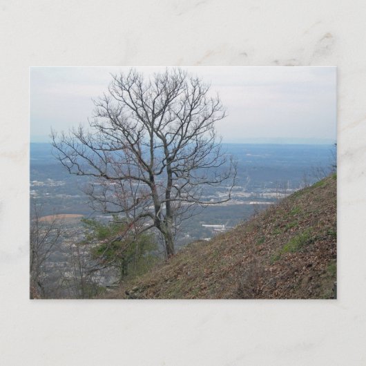 Chattanooga, Tennessee 001 Briefkaart (Voorkant)