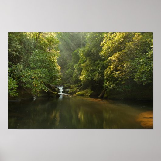 Chattooga, Dawn Poster (Voorkant)