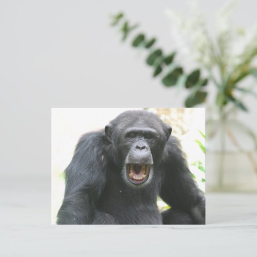 Chatty Chimp Briefkaart (Staand voorkant)