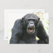 Chatty Chimp Briefkaart (Voorkant / Achterkant)