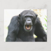 Chatty Chimp Briefkaart (Voorkant)
