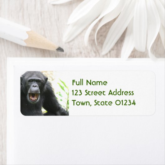 Chatty Chimpansee Mailing Labels (Insitu)