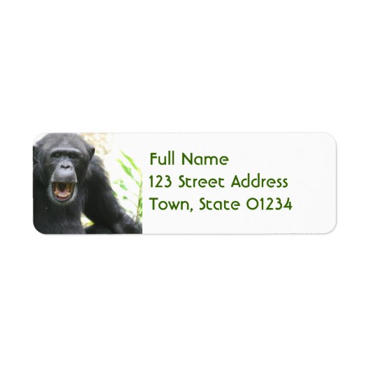 Chatty Chimpansee Mailing Labels (Voorkant)