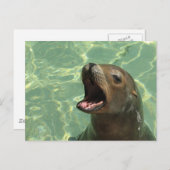 Chatty Zee Lion Briefkaart (Voorkant / Achterkant)