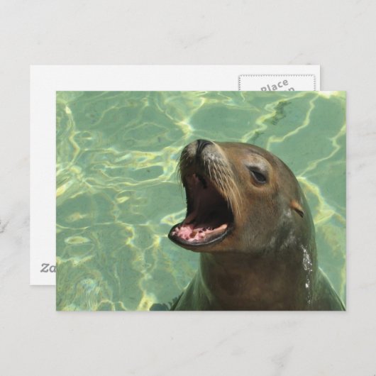 Chatty Zee Lion Briefkaart (Voorkant / Achterkant)