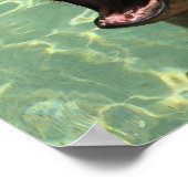 Chatty Zee Lion Poster (Hoek)