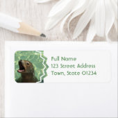 Chatty Zee Lion retour adres Mailing Label (Insitu)