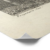 Chaumière Italienne Poster (Hoek)