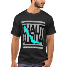 Chautauqua Lake New York Kaart Nautical Strepen