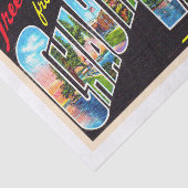 Chautauqua Lake New York NY Large Letter Briefkaar Tissuepapier (Detail)