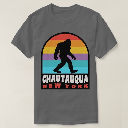 Chautauqua Lake New York NY Retro T-shirt (Design voorkant)