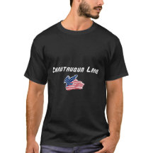 Chautauqua Lake New York Patriottische Adelaar Kaa