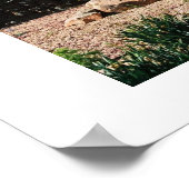 Chautauqua Park, Boulder, Colorado Poster (Hoek)