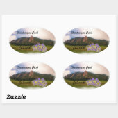 Chautauqua Park sticker (Vel)