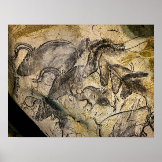 Chauvet Cave in Vallon Pont d'Arc Poster (Voorkant)
