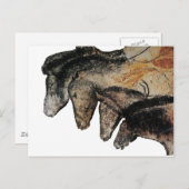 Chauvethorses Grotte Chauvet, Ardèche, Frankrijk Briefkaart (Voorkant / Achterkant)
