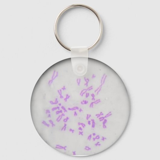 Chaveiro Cromossomos Sleutelhanger (Voorkant)