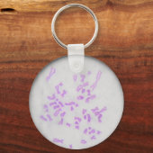 Chaveiro Cromossomos Sleutelhanger (Voorkant)