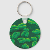 Chaveiro cromossomos sleutelhanger (Voorkant)