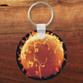 Chaveiro embriologia sleutelhanger (Voorkant)