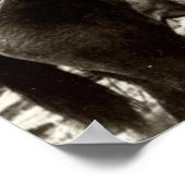 Che Guevara Poster (Hoek)