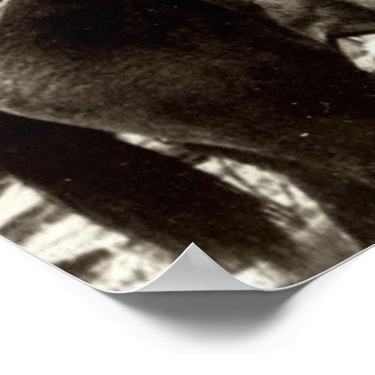 Che Guevara Poster (Hoek)