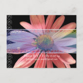 Cheap Wedding Briefkaarten (Achterkant)