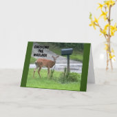 **CHECK JE MAILBOX OP JE VERJAARDAG** KAART (Gele Bloem)