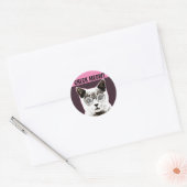 Check Meowt, Funny CAT MET SUNGLASSEN STICKERS (Envelop)