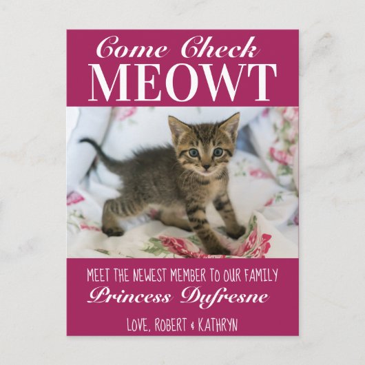 "Check Meowt" - Nieuwe kat-aankondiging Paars Briefkaart (Voorkant)