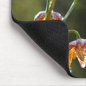 Checker Lily Dew Drops Flower Foto © Sandy Long Muismat (Hoek)