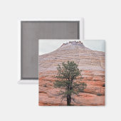 Checkerboard Mesa Magneet (Voorkant / Achterkant)