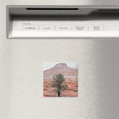 Checkerboard Mesa Magneet (Insitu (Vaatwasser))