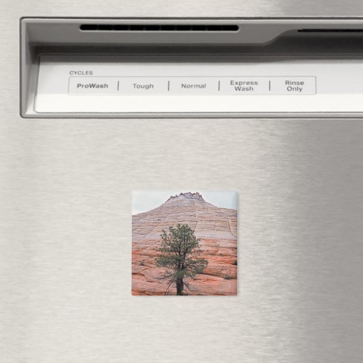 Checkerboard Mesa Magneet (Insitu (Vaatwasser))