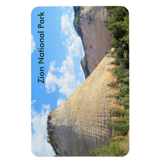 Checkerboard Mesa Magneet (Verticaal)