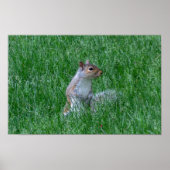 Checking it Out Poster (Voorkant)