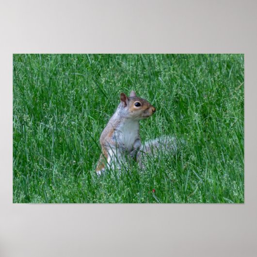 Checking it Out Poster (Voorkant)