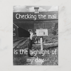 Checking the Mail - Highlight of My Day Postcard Briefkaart