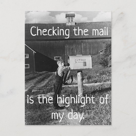 Checking the Mail - Highlight of My Day Postcard Briefkaart (Voorkant)