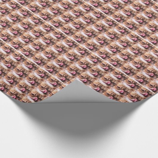 ChEdDaR ChEEsE WrAp Cadeaupapier (Hoek)