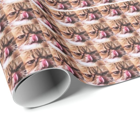 ChEdDaR ChEEsE WrAp Cadeaupapier (Rol Hoek)