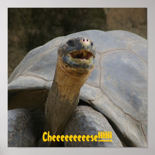 Cheeeeeeese!!!!!!! Poster (Voorkant)