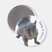 Cheekeekhoorn Fridge Magnet (Voorkant / Achterkant)