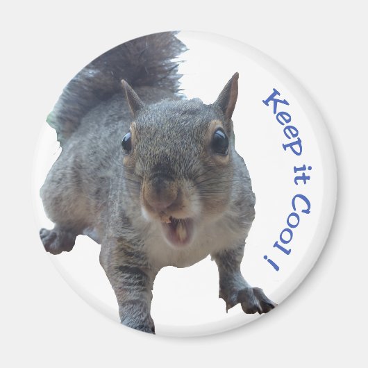 Cheekeekhoorn Fridge Magnet (Voorkant)