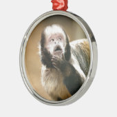 Cheeky & attent baby capuchin-aap metalen ornament (Links)