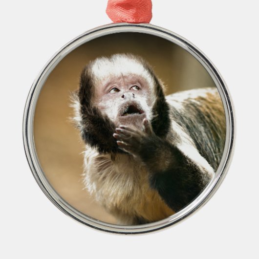 Cheeky & attent baby capuchin-aap metalen ornament (Voorkant)