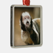 Cheeky & attent baby capuchin-aap metalen ornament (Rechts)